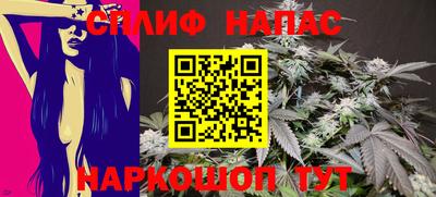 гидра Малгобек